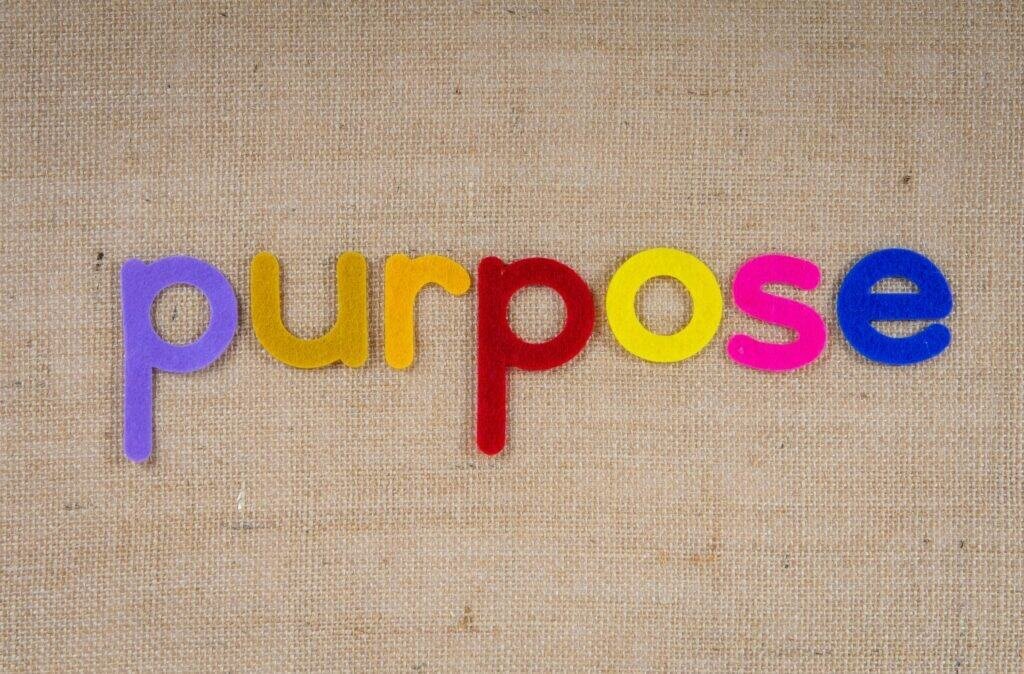 twin flame purpose