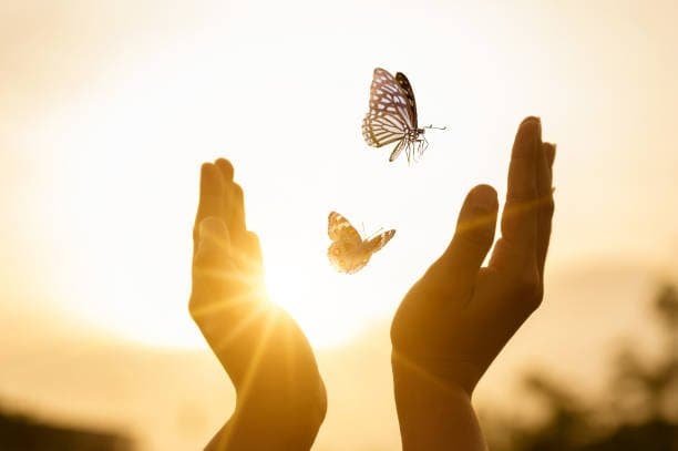Twin flame vs Karmic - Transformation